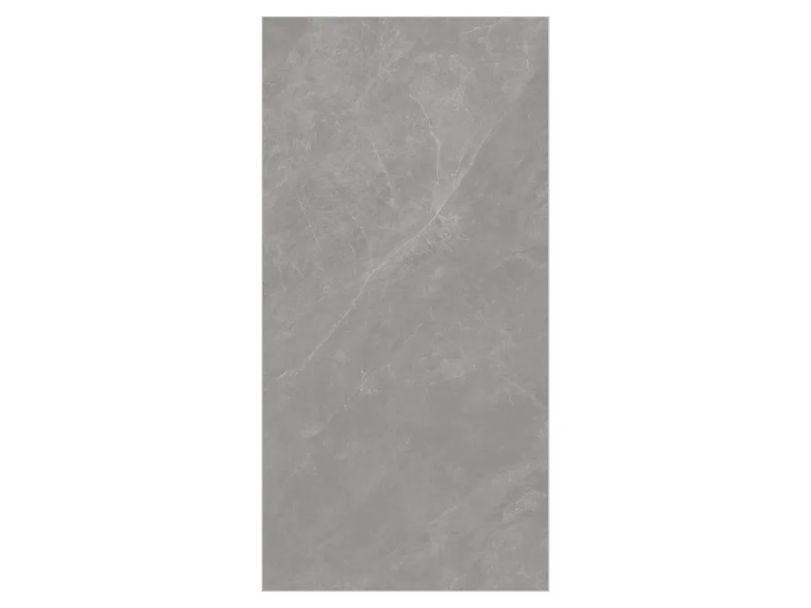 Armony Grey GVT Tiles Glossy 600 X 1200 Capron