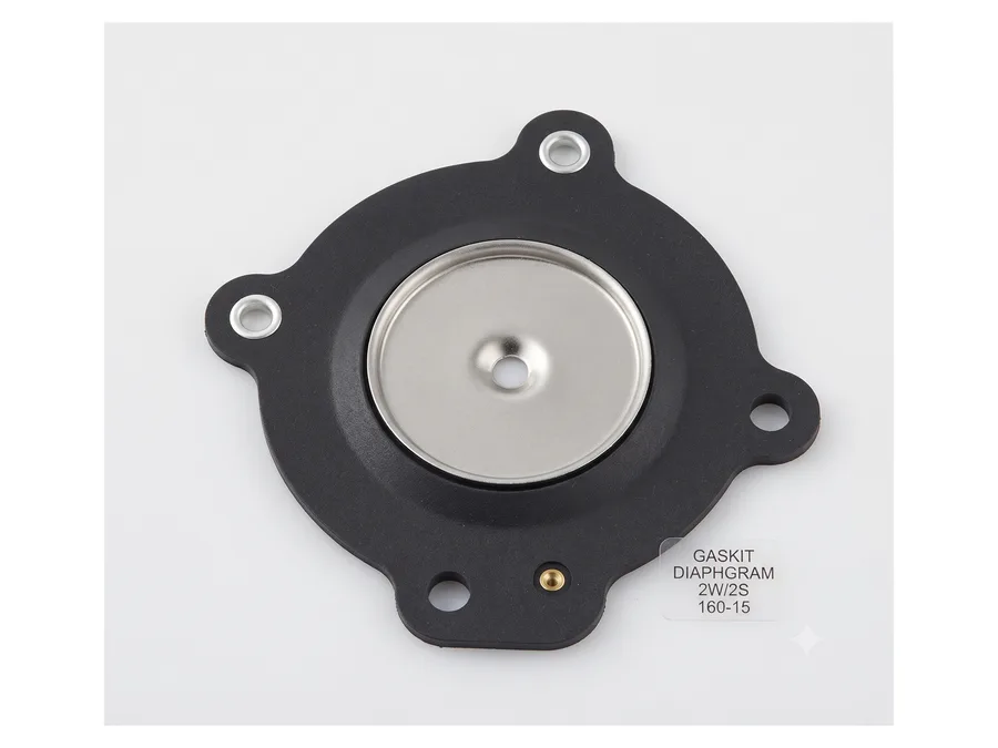 GASKIT DIAPHGRAM 2W/2S 250-25 1"