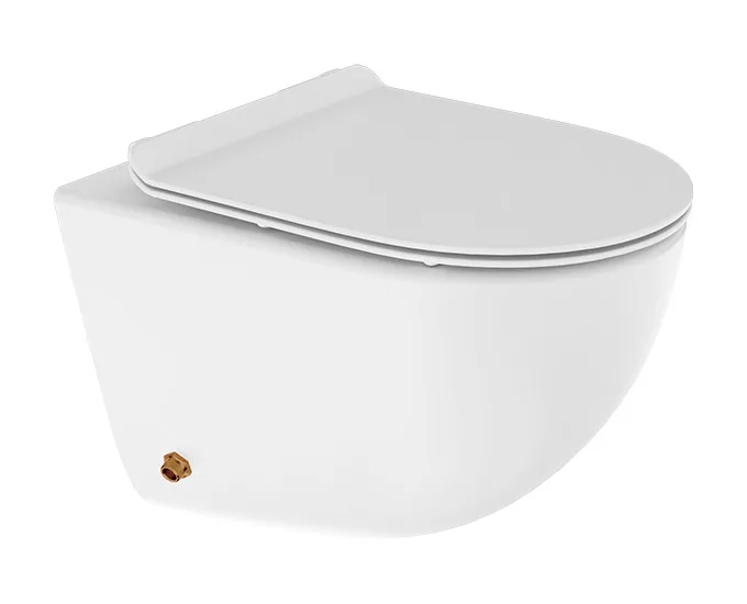 CERA Wall Hung Toilets Carnival Jet