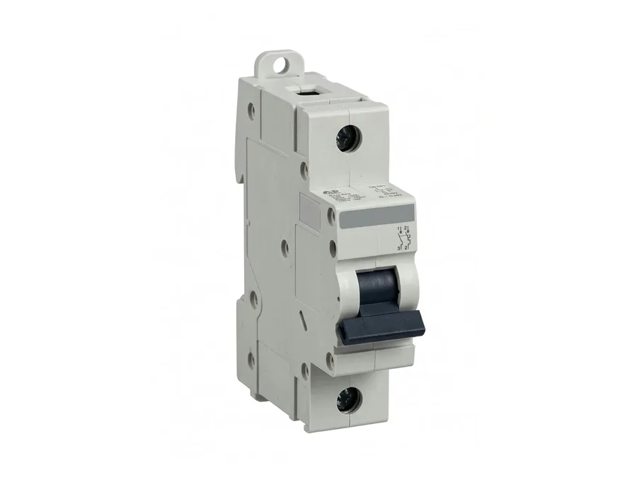 Lauritz Knudsen 80-125A Range Single Pole (SP) 100A D-Curve Miniature Circuit Breaker