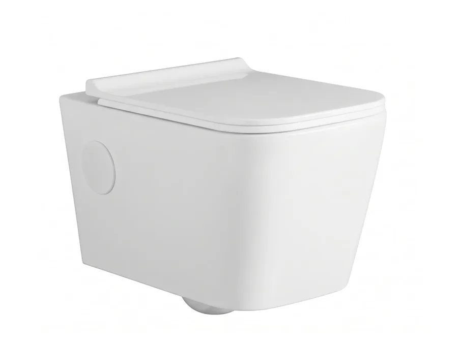 Montana Rimless Wall Hung WC with PP Soft Close Seat Cover (555x355x375 mm) - White