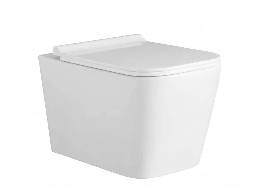 Montana Rimless Wall Hung WC with PP Soft Close Seat Cover (560x355x580 mm) - White