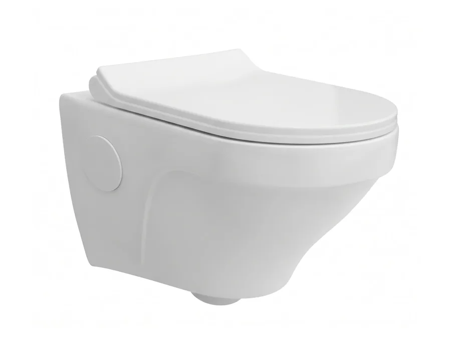 Vista Rimless Wall Hung WC with PP Soft Close Seat Cover - White