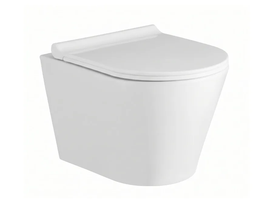 Tonia Rim-Free Wall Hung WC with PP Soft Close Thin Seat Cover & Fischer Set - White