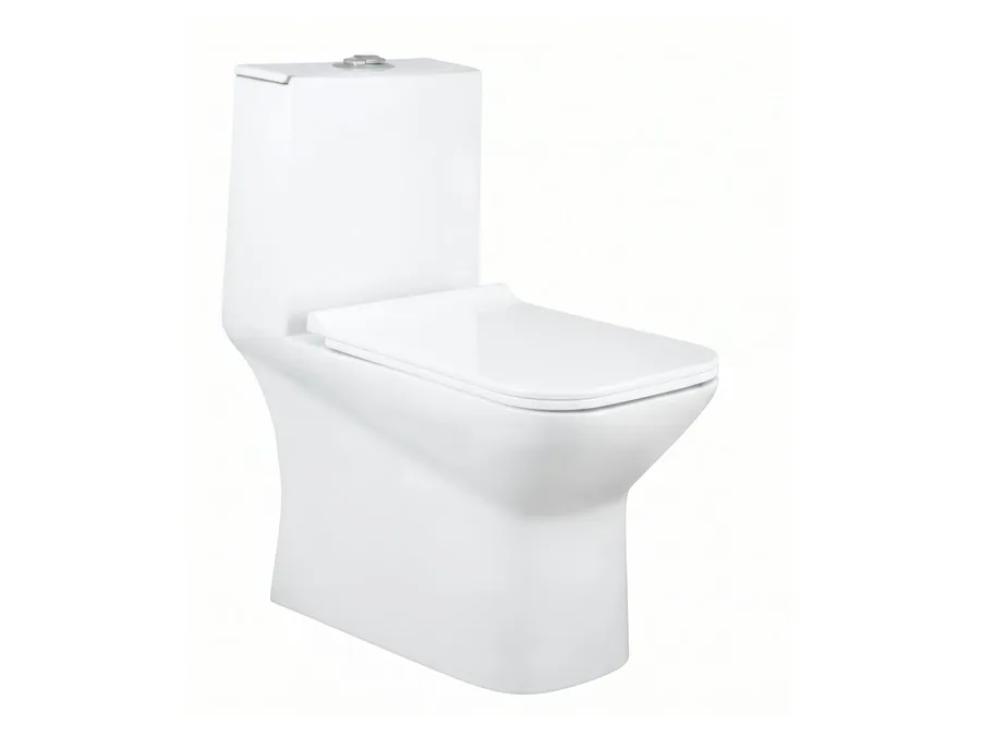 Okena Siphonic One Piece WC with 4D Flush, PP Soft Close Thin Seat Cover (S-Trap 220/300 mm) - White