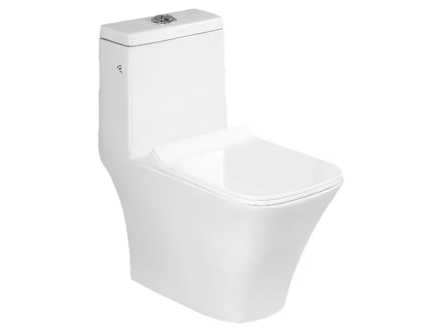Nova Rimless Washdown One Piece WC with PP Soft Close Seat Cover - White
