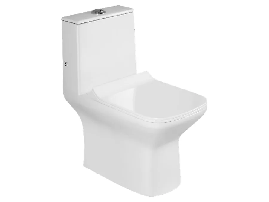 Edge Rimless Washdown One Piece WC with PP Soft Close Seat Cover - White