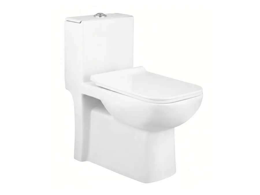 Robb’s Rimless One Piece WC with In-Built Jet & PP Soft Close Thin Seat Cover - White