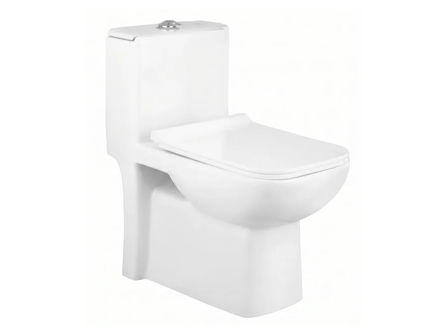 Robb’s Rimless Washdown One Piece WC with PP Soft Close Thin Seat Cover (S-Trap 220 mm) - White