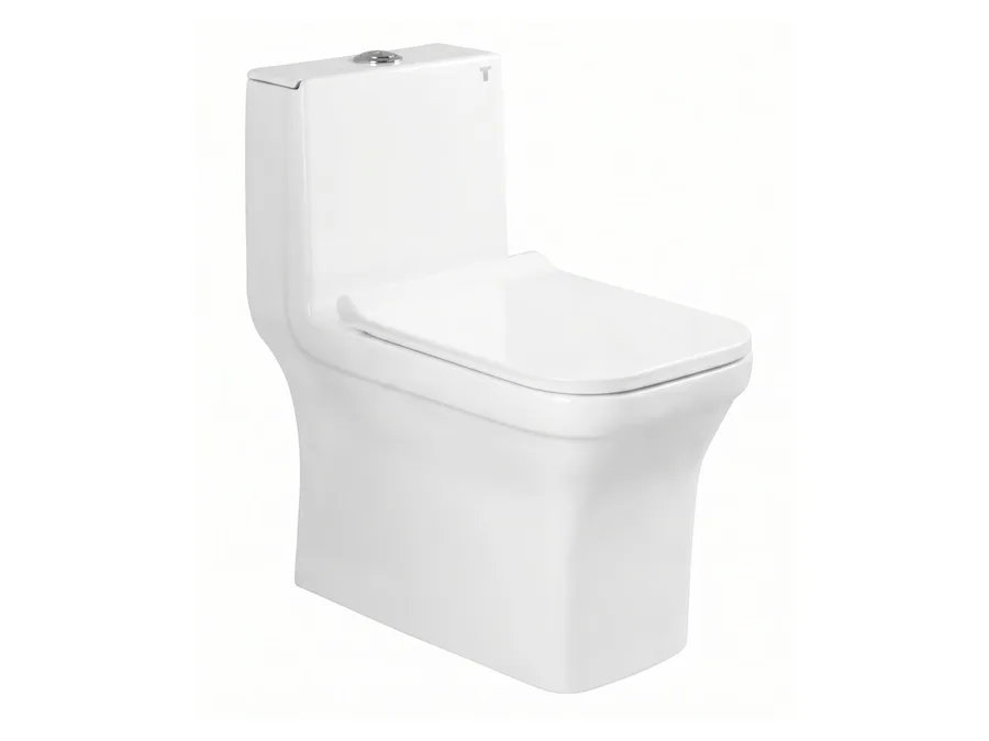Olive Washdown One Piece WC with PP Soft Close Seat Cover (S-Trap 100 mm) - White