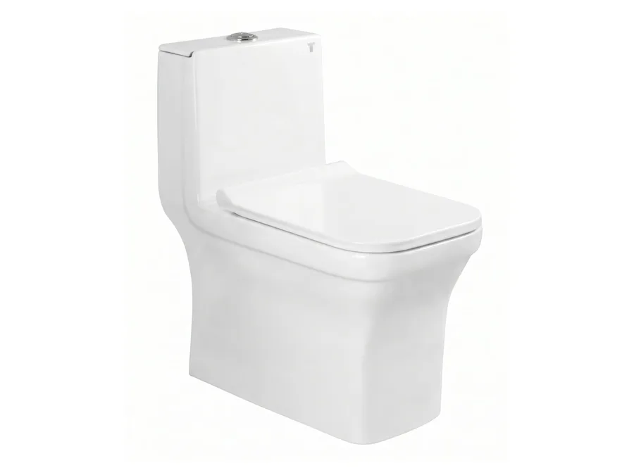 Rafe Rimless Washdown One Piece WC with PP Soft Close Seat Cover (P-Trap 180 mm) - White