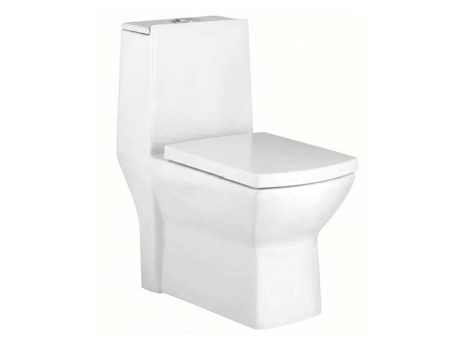 Contour Siphonic One Piece WC with PP Soft Close Seat Cover - White