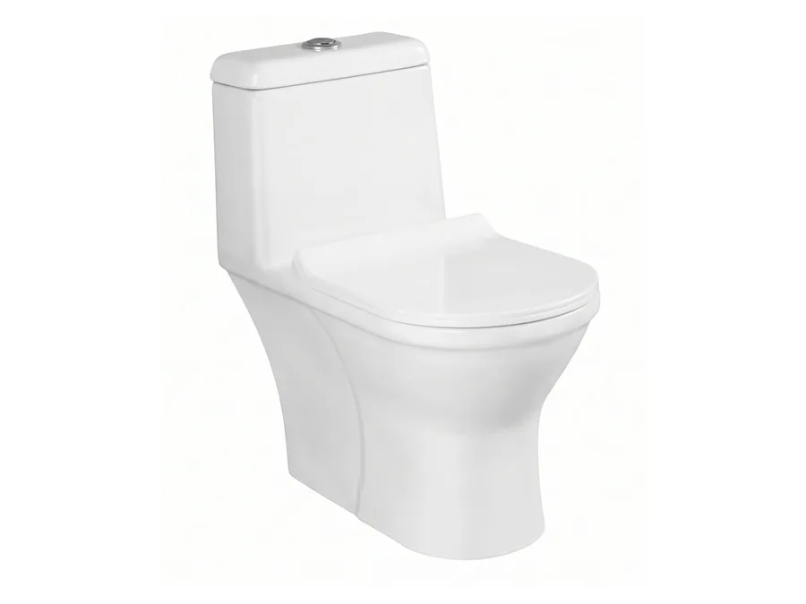 Coral Washdown One Piece WC with PP Soft Close Seat Cover - White