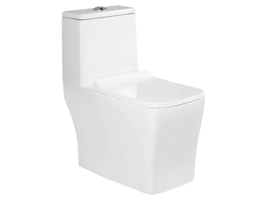 Ray Washdown One Piece WC with PP Soft Close Seat Cover - White