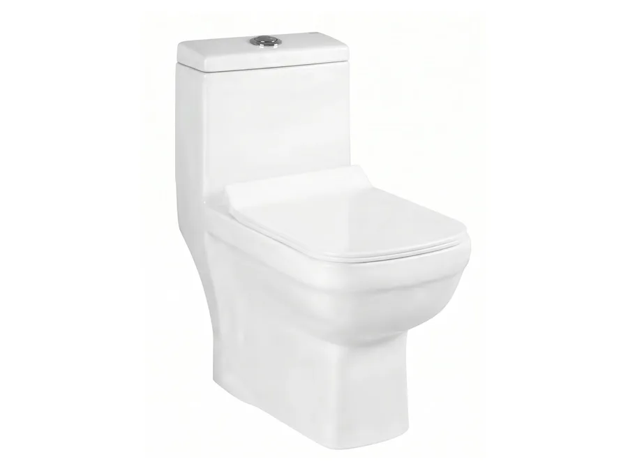 Kartana Washdown One Piece WC with PP Soft Close Seat Cover (P-Trap 180 mm) - White