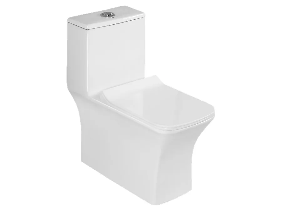 Pearl Washdown One Piece WC with PP Soft Close Seat Cover - White