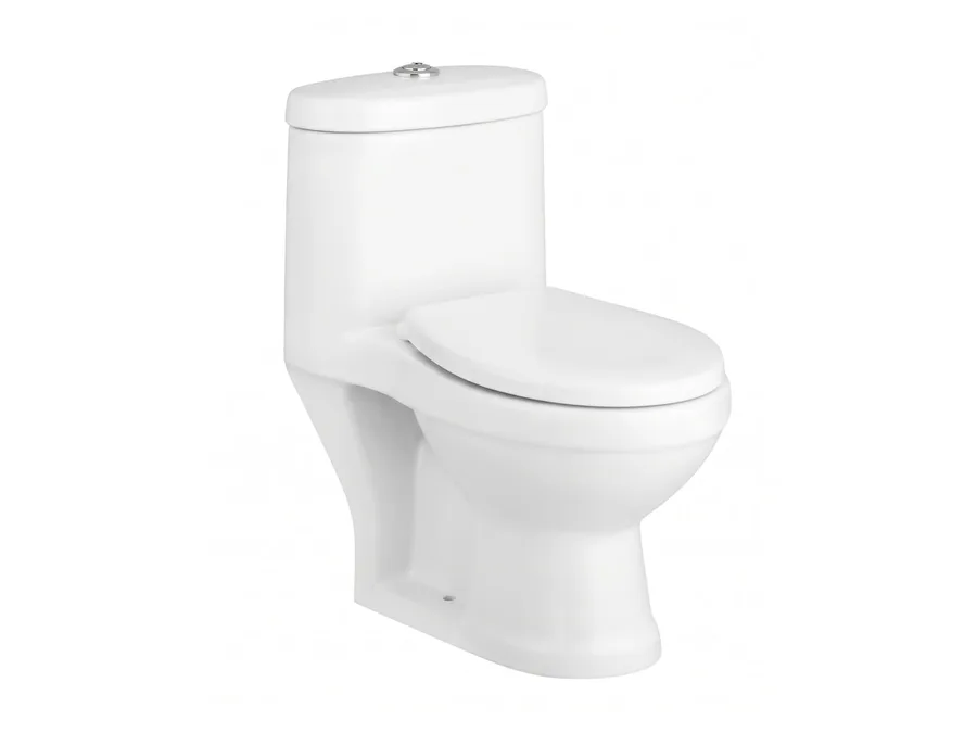 Pablo Washdown One Piece WC with PP Soft Close Seat Cover - White