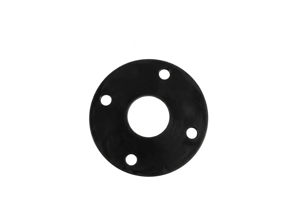 Astral CPVC Pro Flange Rubber Gasket 20 mm (� inch)