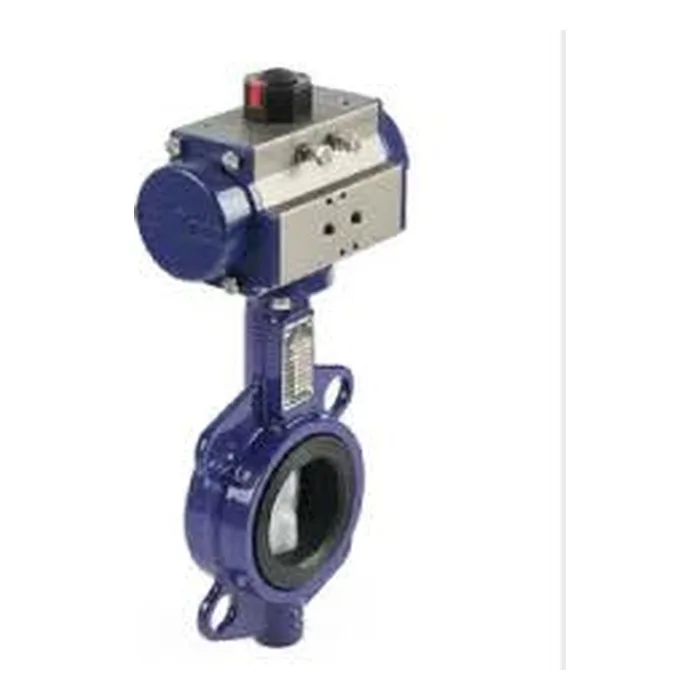 Butterfly Valve with Pneumatic Rotary Actuator