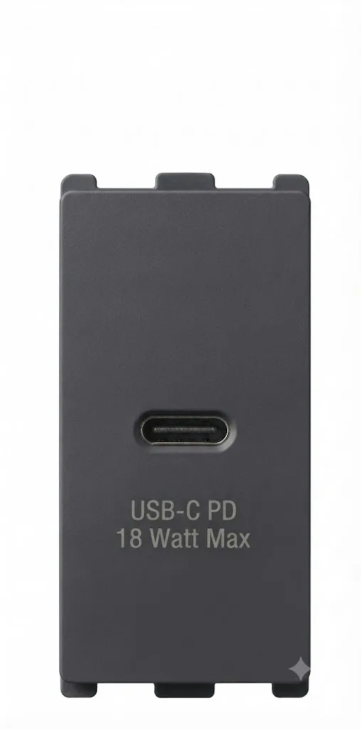 Panasonic Europa 18W USB Power Delivery Charger USB-C 1 Module CRS Certified Graphite Black (Model WIPM1443GB)